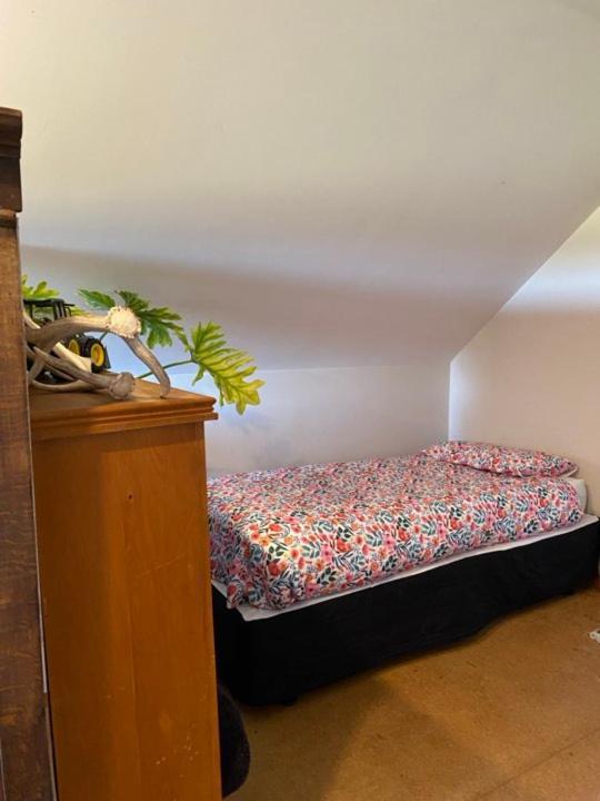 Hadlow Sunrise Retreat Timaru Ngoại thất bức ảnh